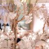 ایده جالب کاربرد ساقه های خشک درخت به همراه گل های ارکیده سفید بر روی میزهای پذیرایی مجالس خاص و باشکوه