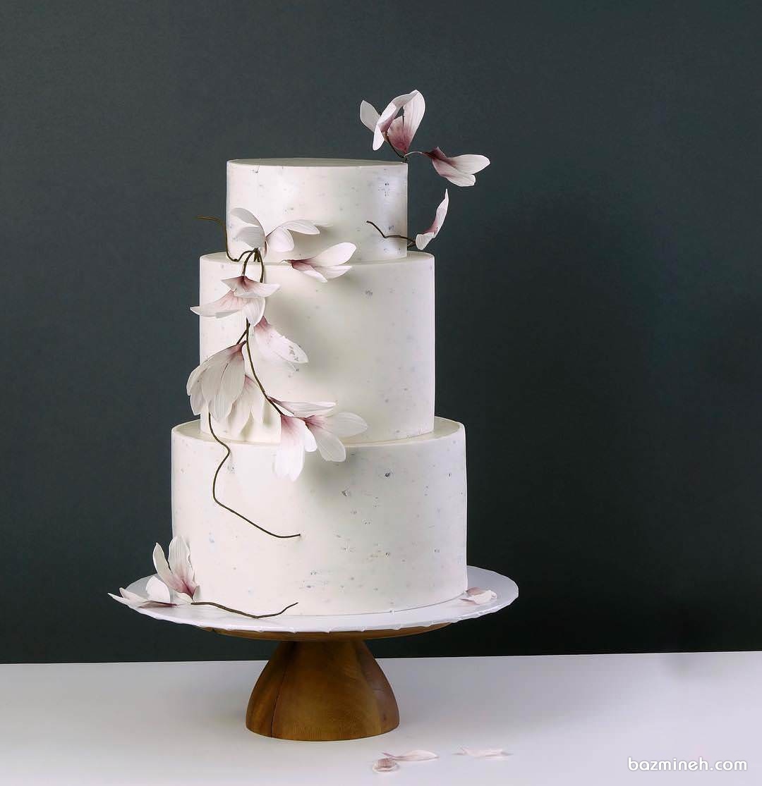 کیک ساده و خاص جشن نامزدی با گل های برجسته سفید صورتی
