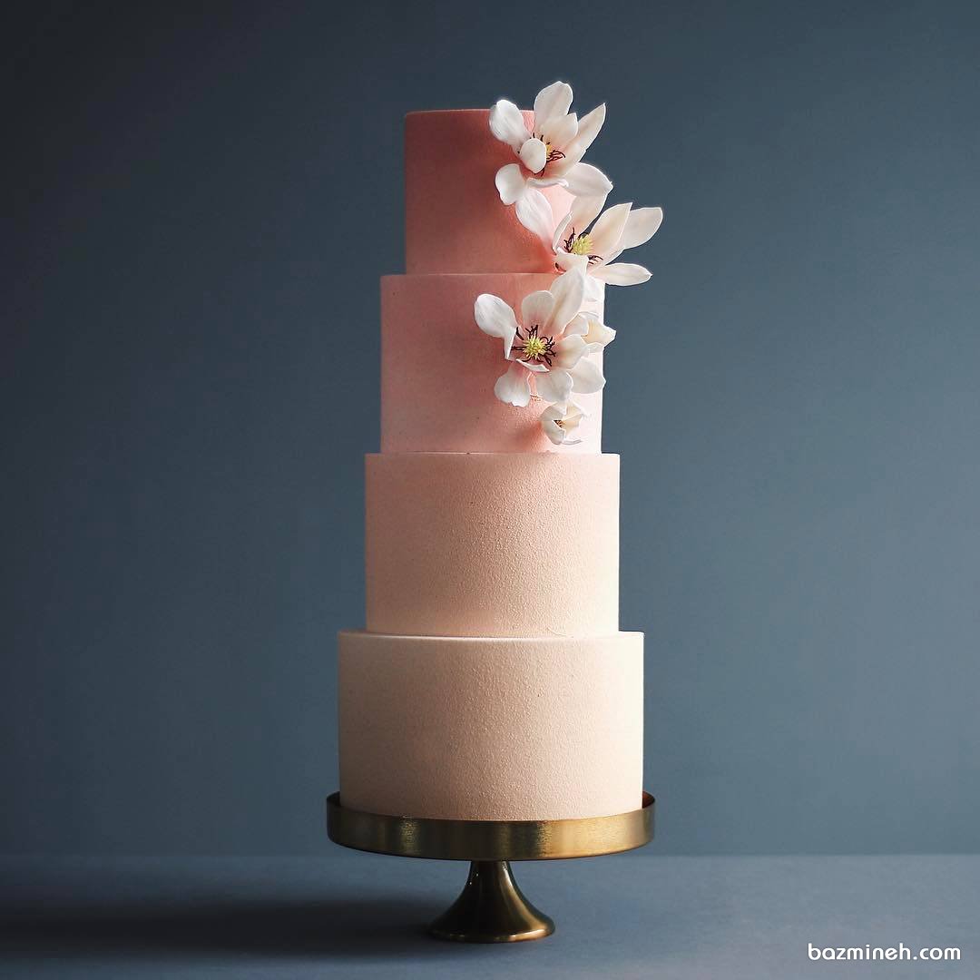 کیک منحصر به فرد جشن نامزدی به رنگ گلبهی با گل های رمانتیک سفید