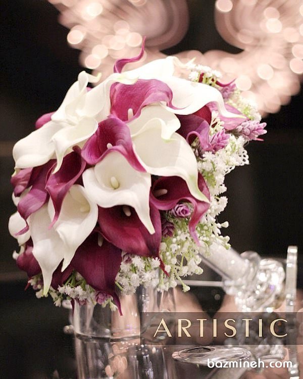 دسته گل زیبای عروس با گلهای شیپوری دو رنگ (callas)