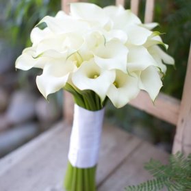 دسته گل ساده و شیک از گل شیپوری سفید یا calla lily مناسب عروس خانم ها با استایل کلاسیک