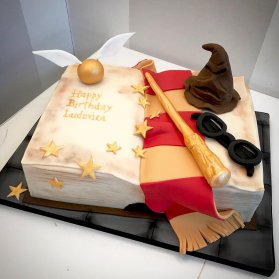 کیک زیبای جشن تولد نوجوان با تم هری پاتر (Harry Potter)