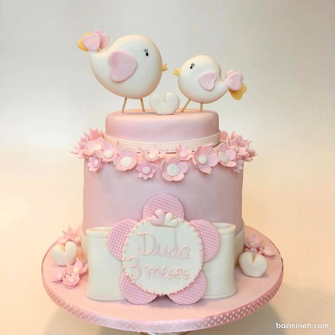 مینی کیک فانتزی جشن تولد دخترانه با تم پرنده های عاشق صورتی