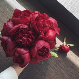 دسته گل عروس با گل های صد تومنی (peony) قرمز. این دسته گل با اکسسوری قرمز مانند تاج یا کفش قرمز استایلی شیک ایجاد می کند.