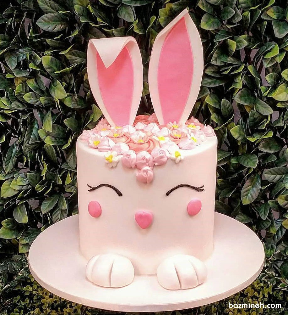 کیک فانتزی جشن تولد دخترونه با تم خرگوش صورتی