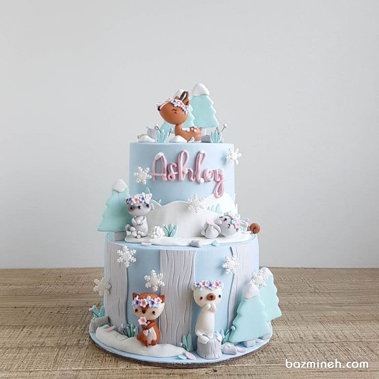 کیک دو طبقه فوندانت رویایی جشن تولد دخترونه با تم زمستانی 
