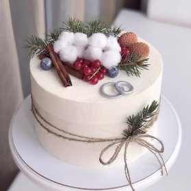 کیک خاص جشن نامزدی یا سالگرد ازدواج با تم زمستونی 